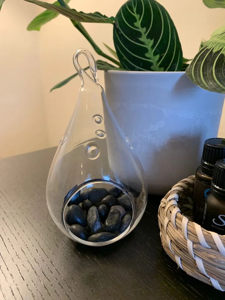 Hanging Glass Flower Pot photo 1