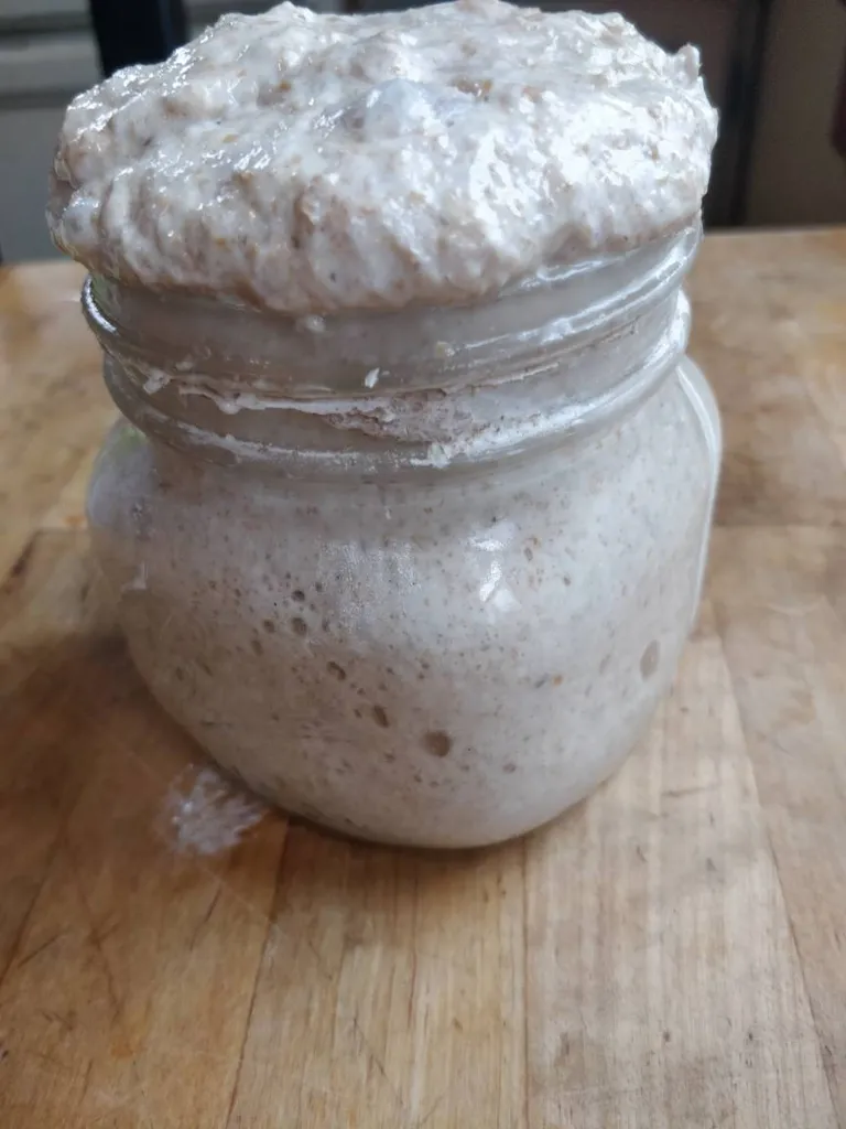 Sourdough Starter photo 1