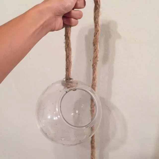 Glass Terrariums photo 1