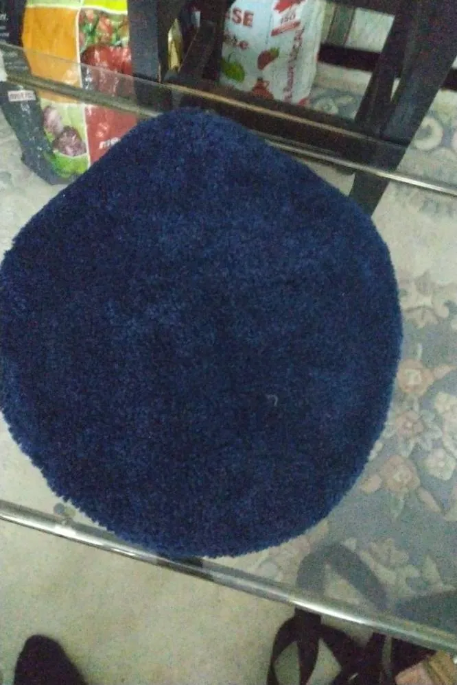 Free New Toilet Seat Cover photo 1