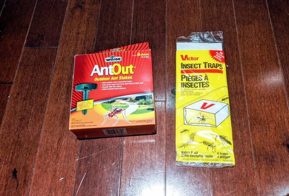 Insect Traps photo 1