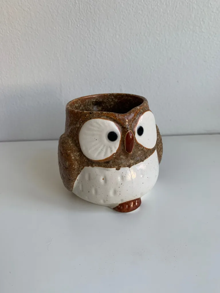 Indigo Owl Mug photo 1