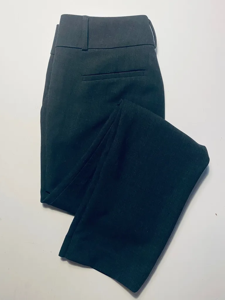No-iron dress pants from Ann Taylor Loft photo 1