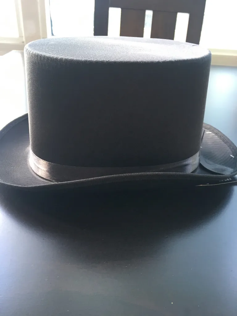 Top Hat BNWOT photo 1