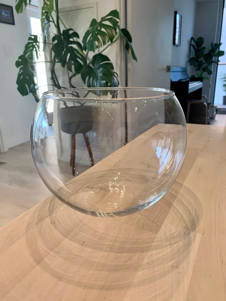 Large Glass Vase 💐 photo 1