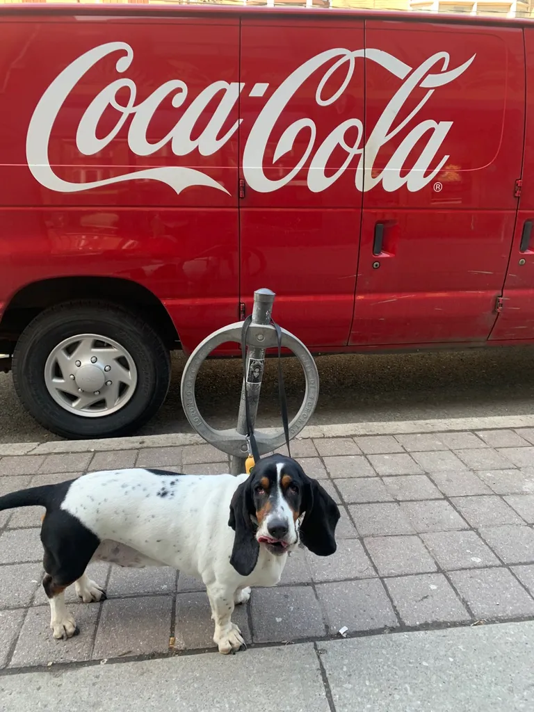 Need Hangers! photo 1