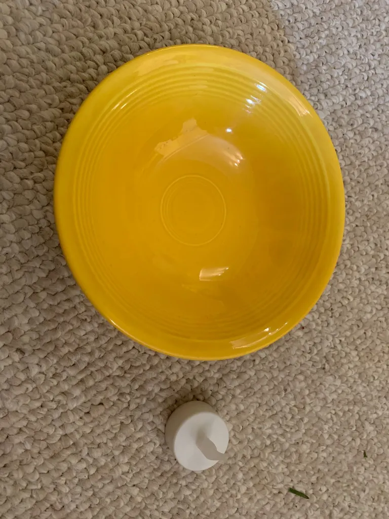 Bright Yellow Bowl photo 1