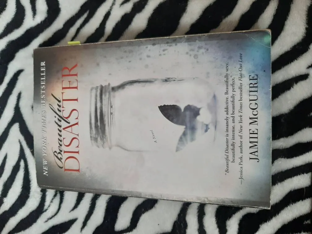 Beautiful Disaster photo 1