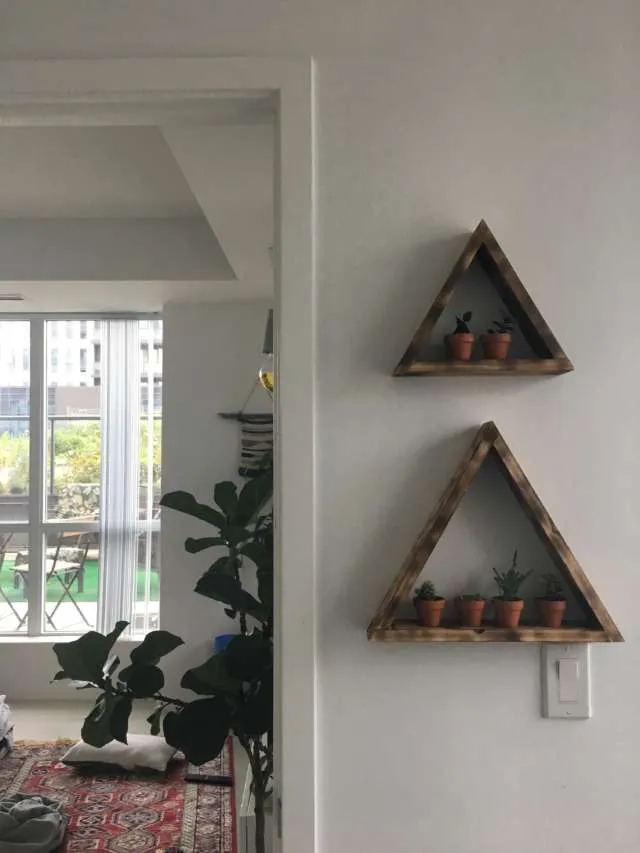 Two wooden triangle shelves with 6 mini cacti photo 1