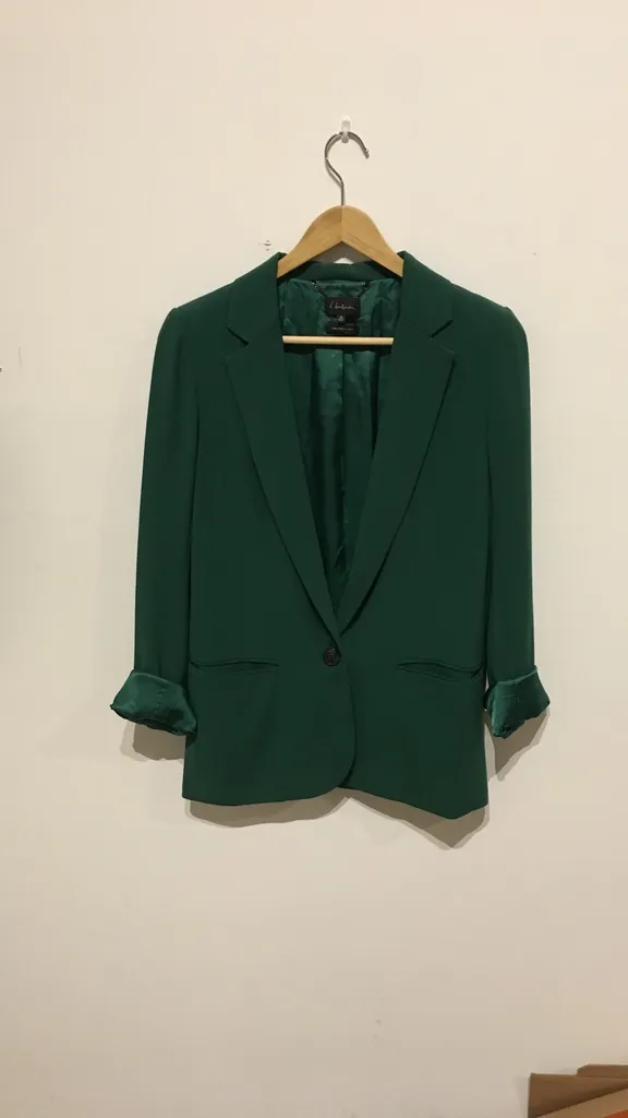 Aritzia Babaton Blazer Jacket photo 1