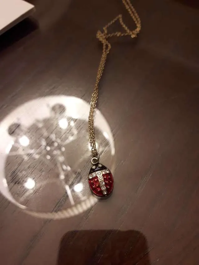Ladybug Necklace photo 1
