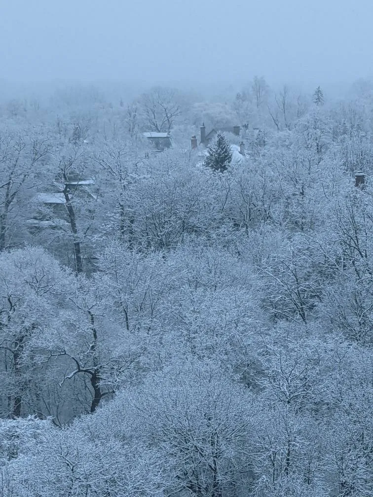 Read Description photo 1