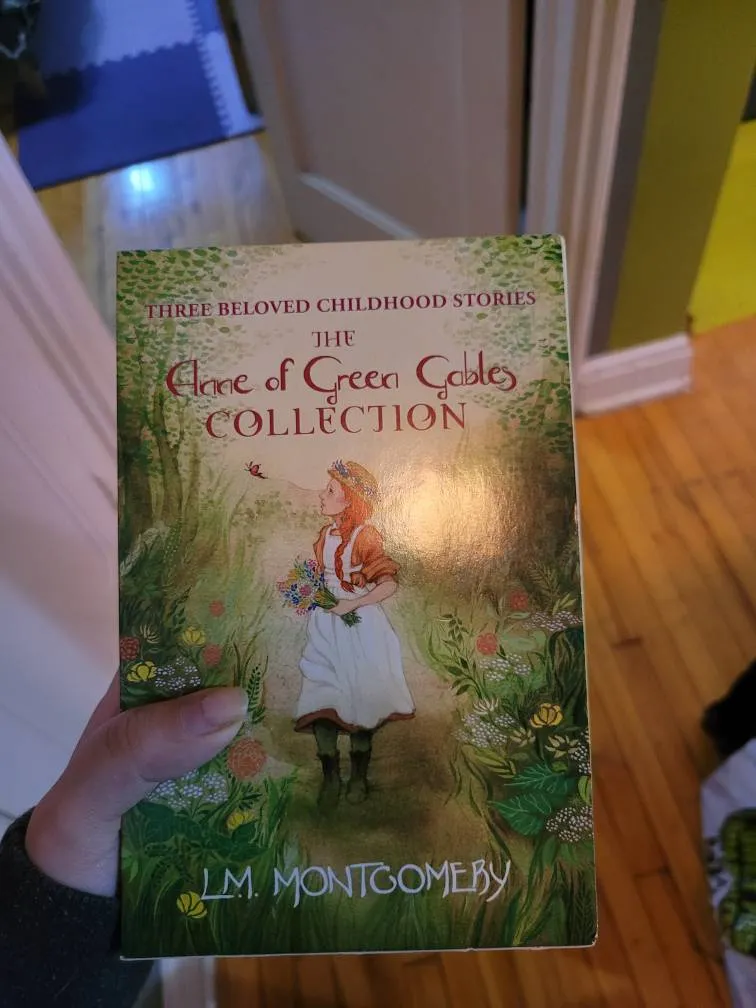 Anne Of Green Gables Books photo 1