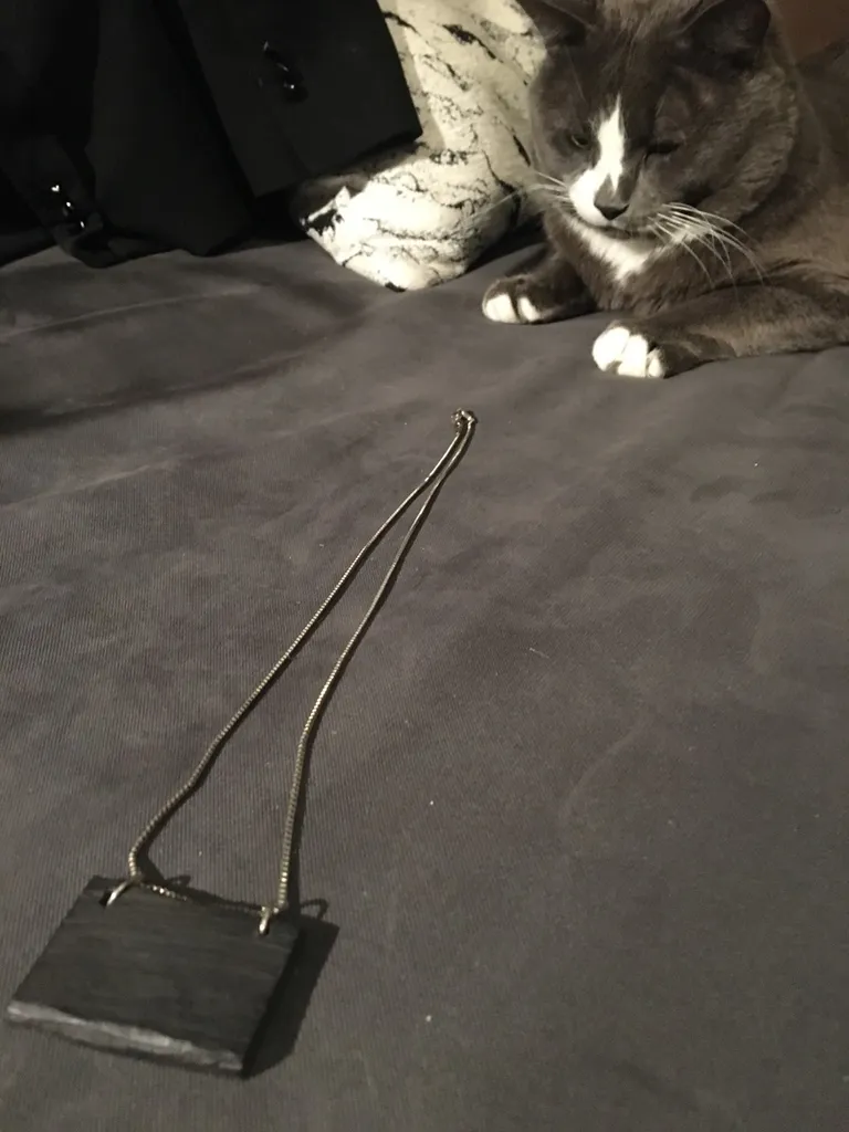 Black Wood And Silver Necklace photo 1