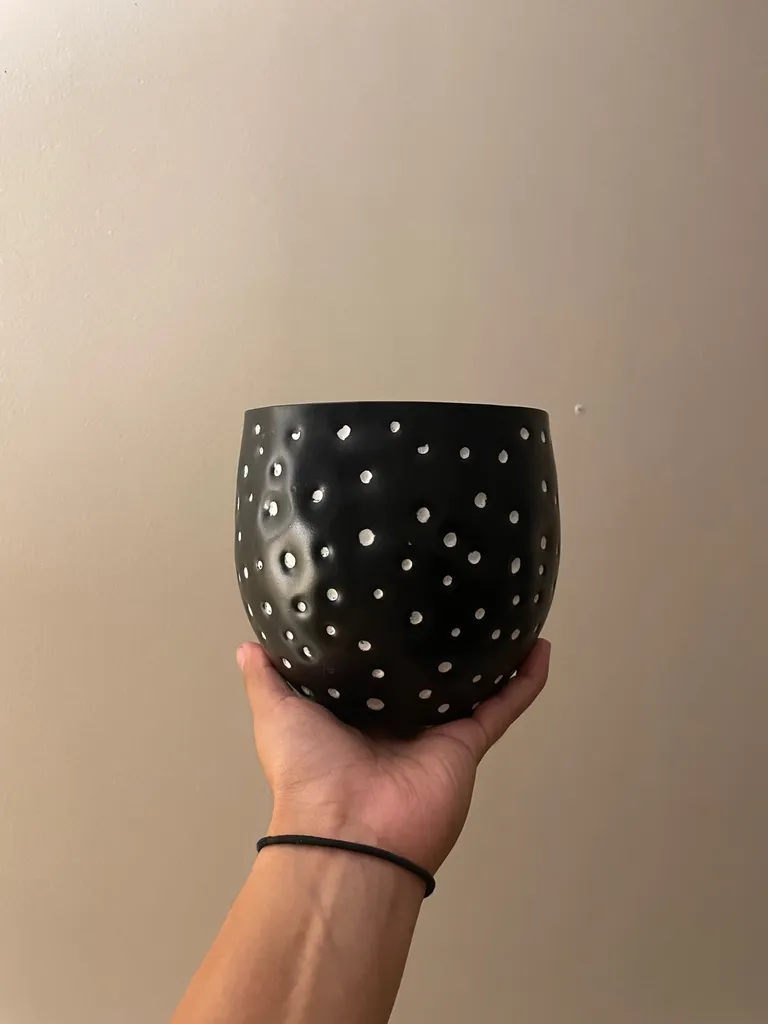 x2 Spotted Bowls photo 1