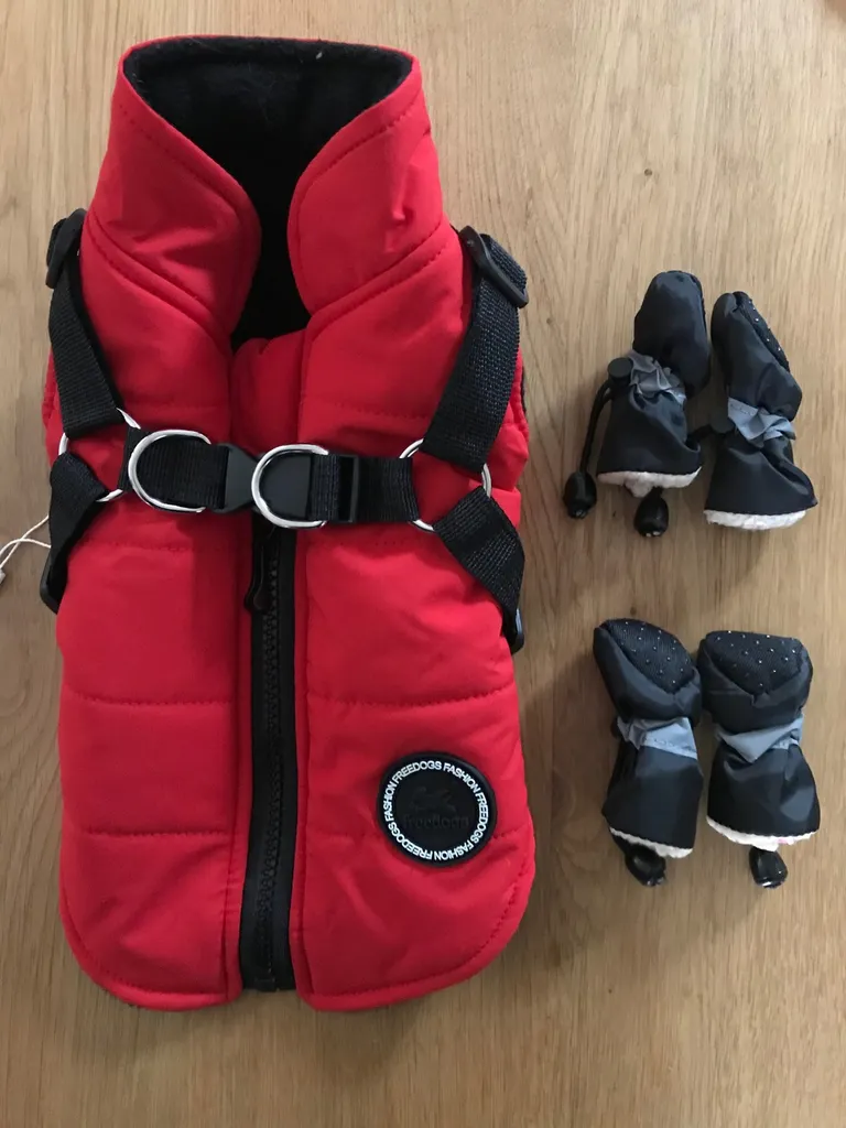 Dog Jacket and Boots photo 1