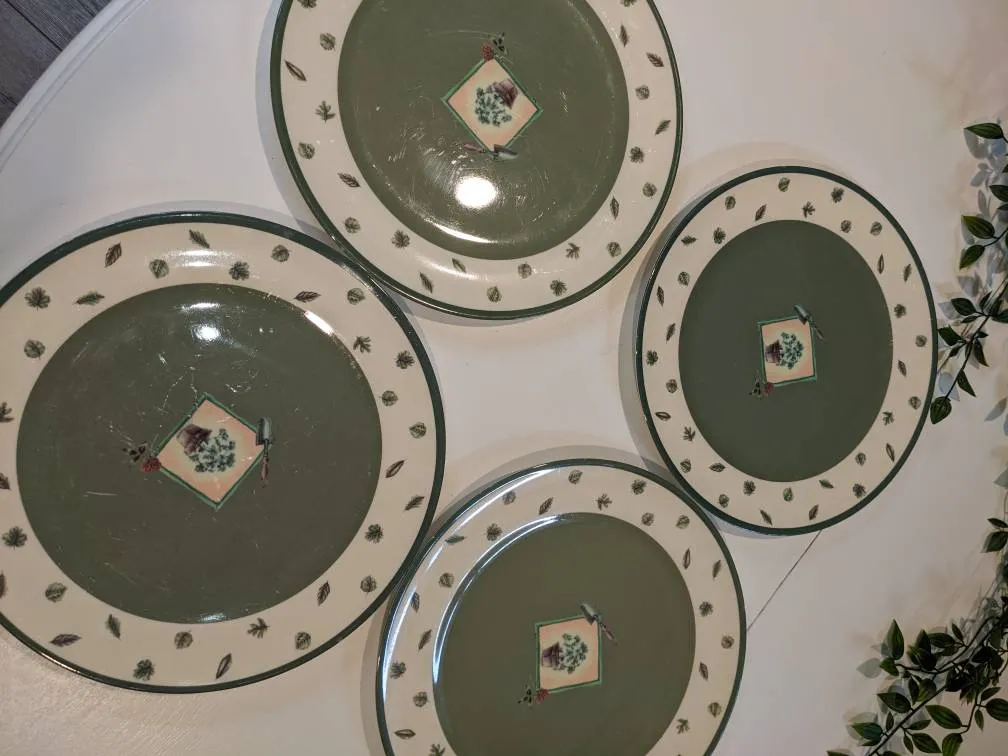 Pfaltzgraff Plastic Dinnerware photo 1