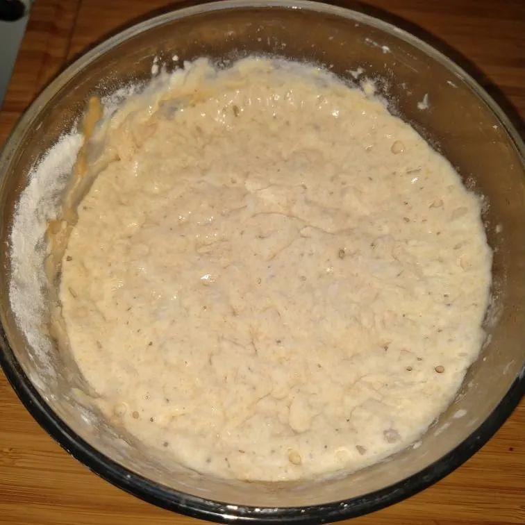 Sourdough Starter photo 1
