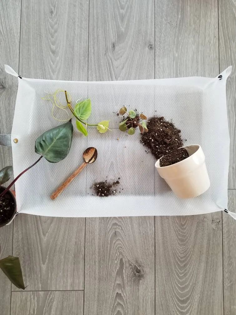 Houseplant Repotting Mat photo 1