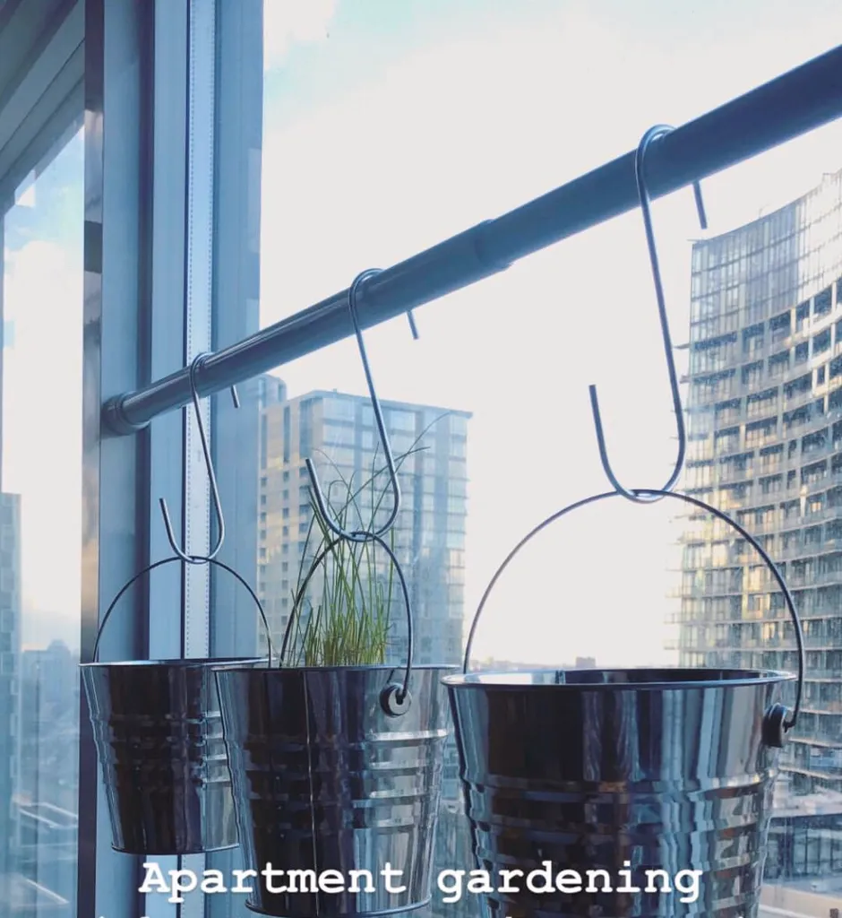 Hanging Window Planter photo 1