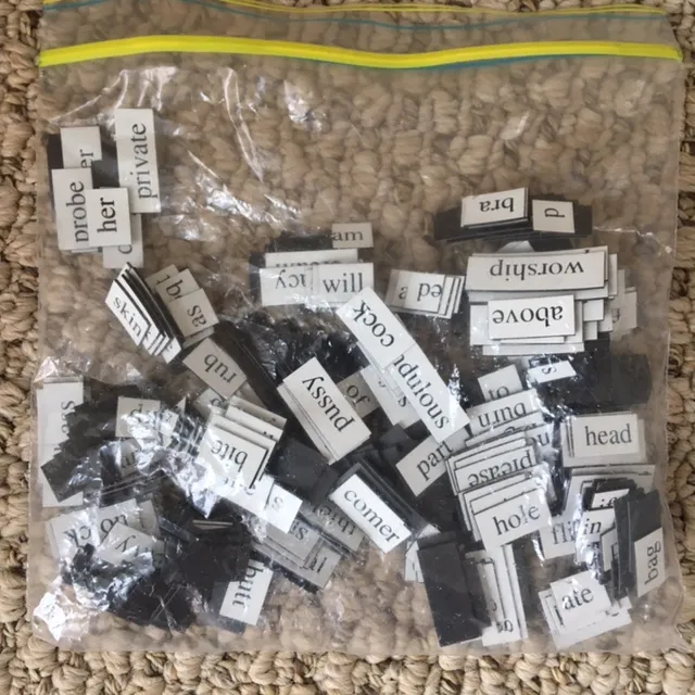 Sexy Magnets Poetry! photo 1