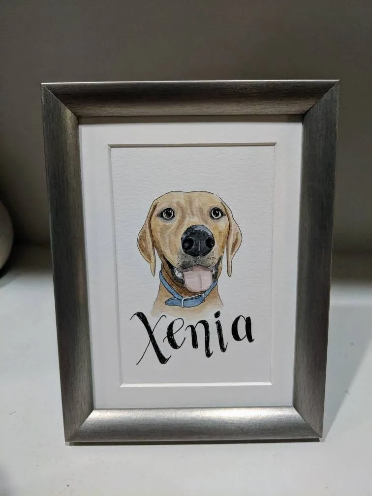 Pet Portraits *Great Gift Idea*!! photo 1