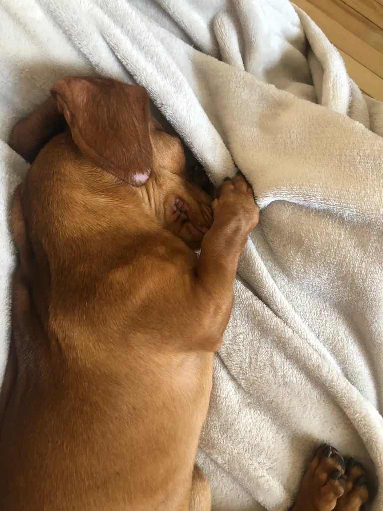 Moving Soon-Please Take My Stuff! photo 1