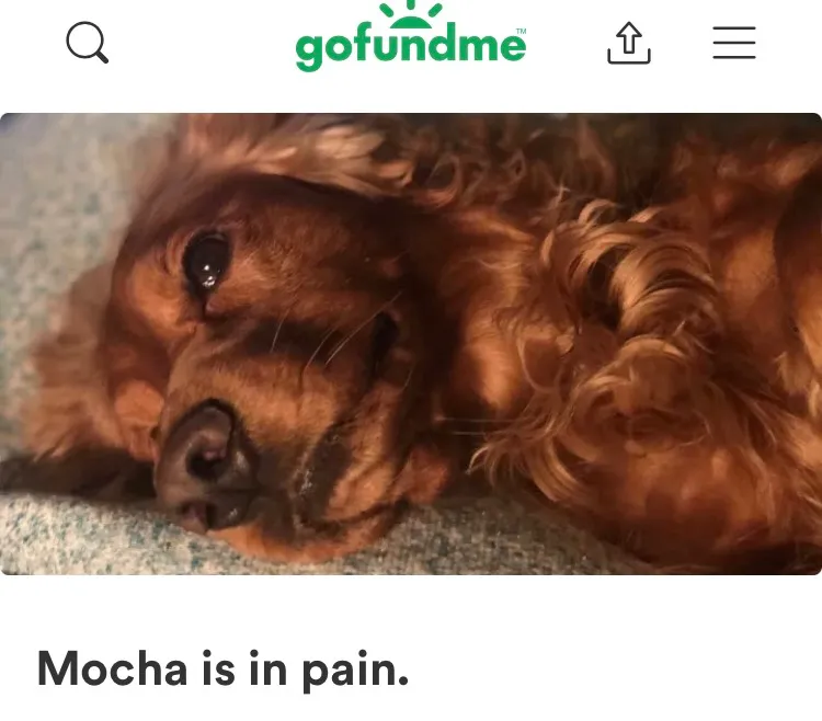 Need Your Help ! photo 1