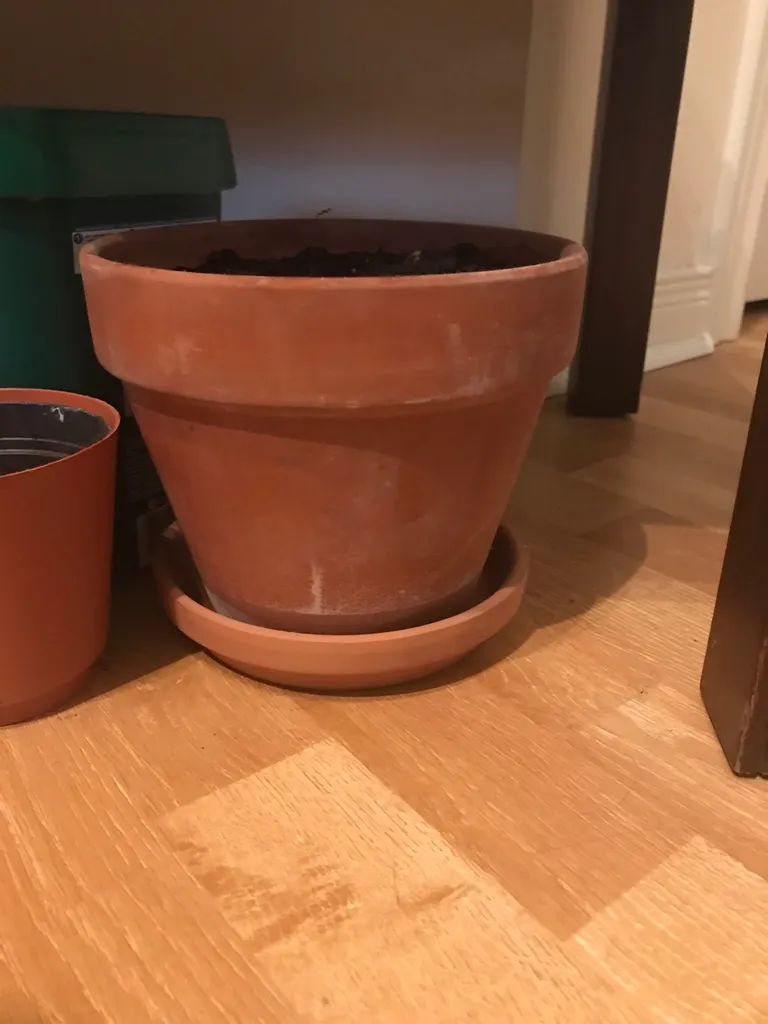 Terracotta Pots photo 1