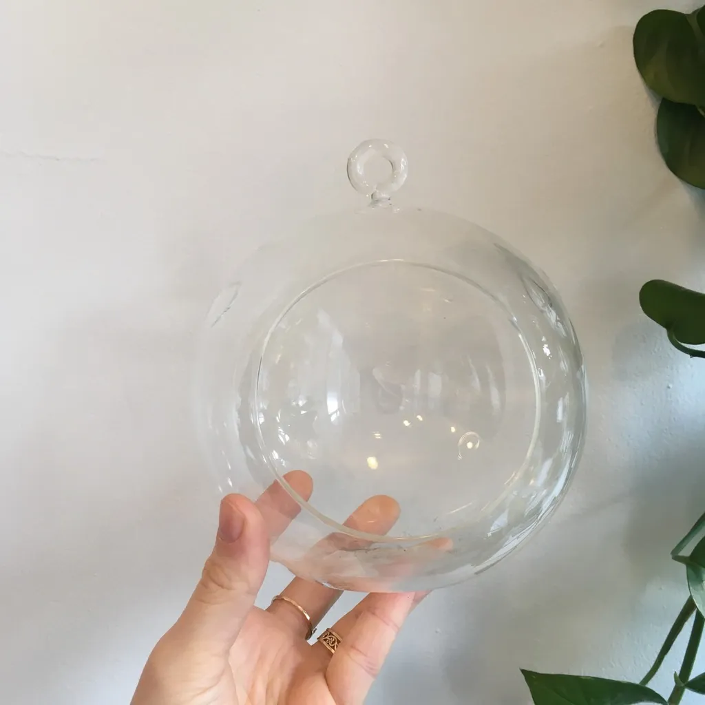 🪴 Hanging Plant Terrarium photo 1