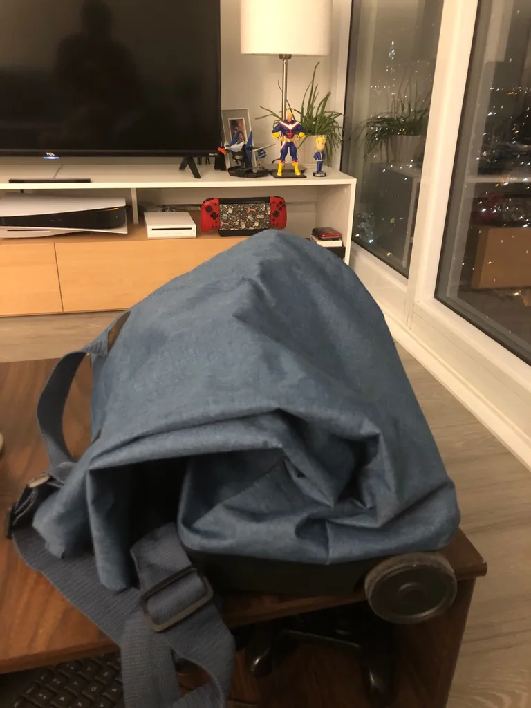 Portable Grocery Bag With Wheels photo 1