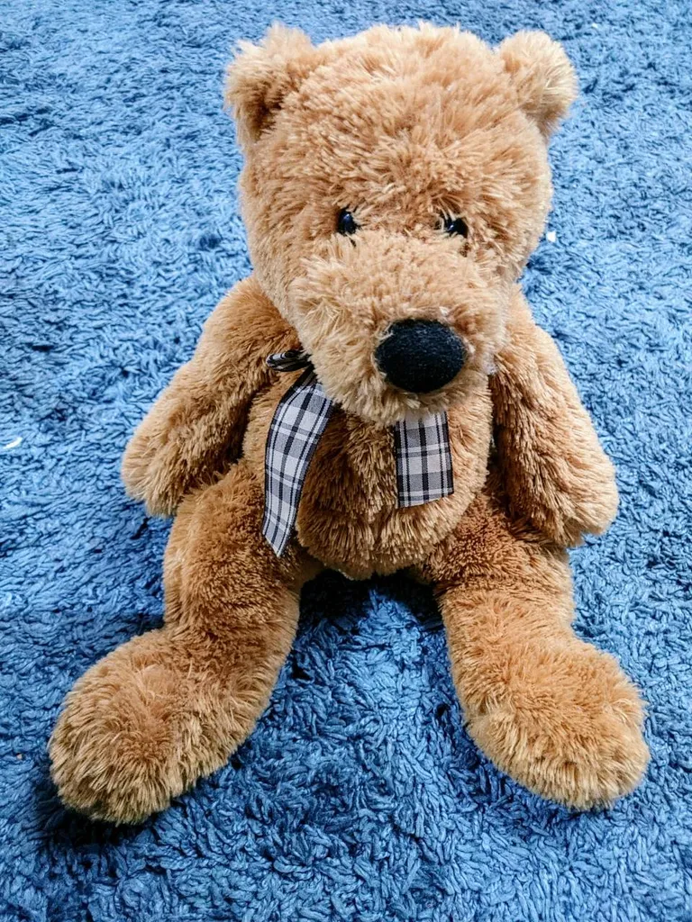 Teddy Bear photo 1