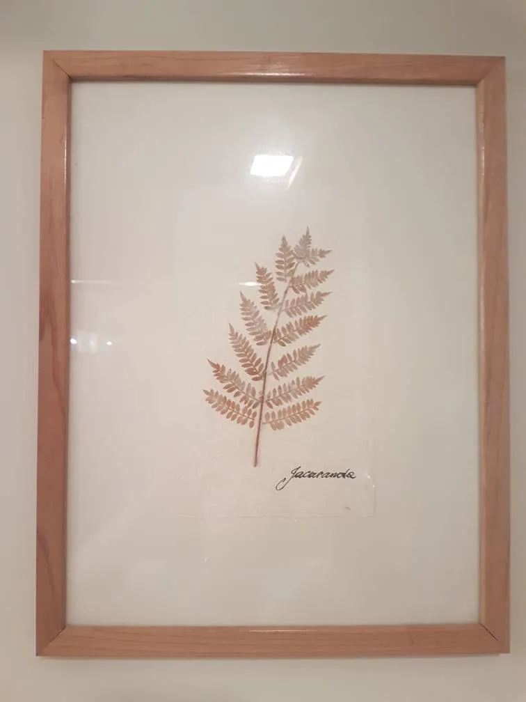 Framed Press Fern photo 1