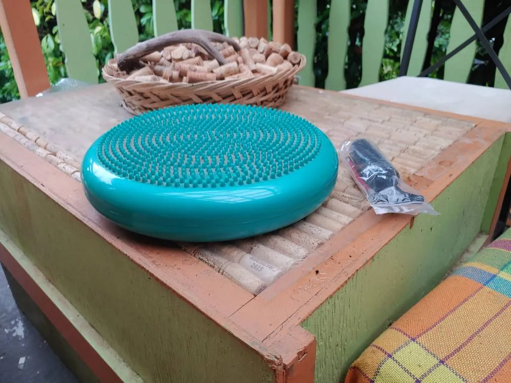 Disc Trainer Pro Balance photo 1