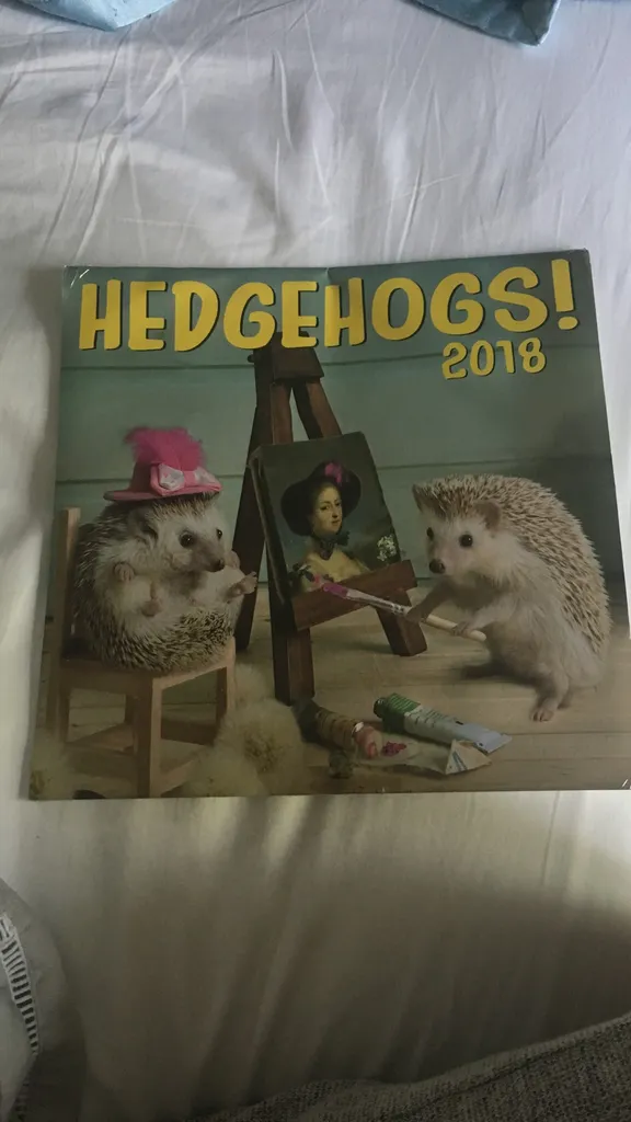 Hedgehog Calendar photo 1
