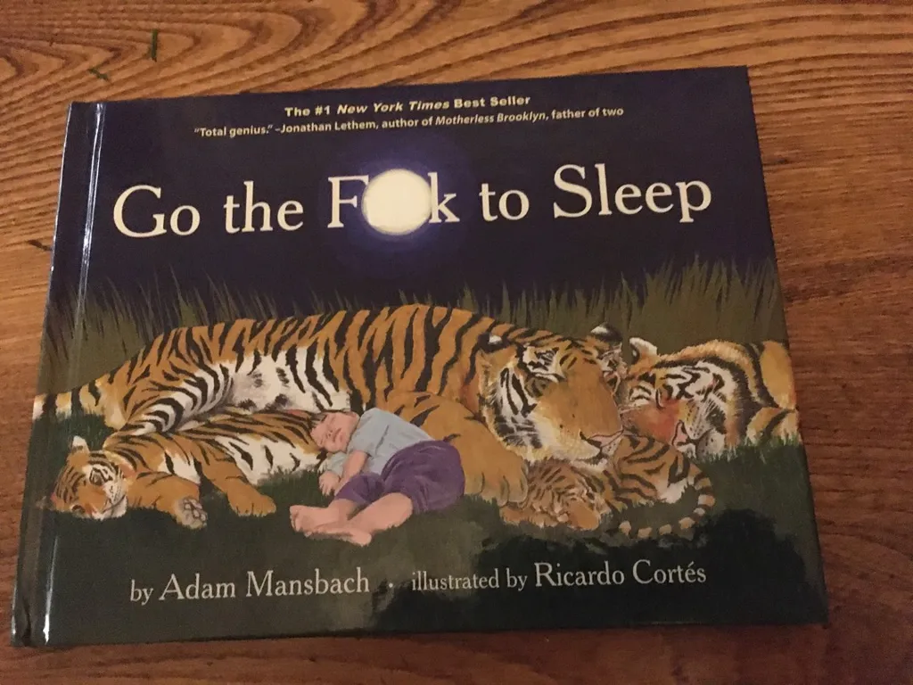 Go The F*ck To Sleep photo 1