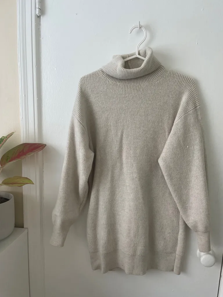 Babaton Oversized Turtleneck photo 1