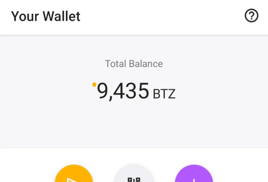 BTZ FOR GIFTABLES photo 1