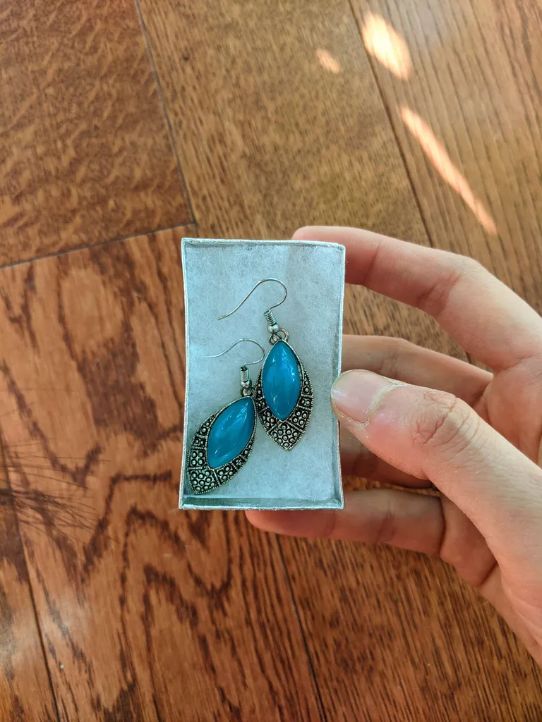 BNIB earrings photo 1