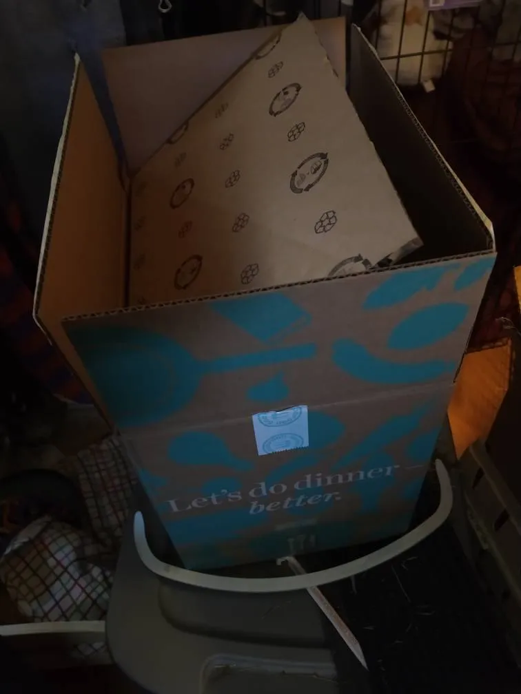 Goodfood Box (empty) photo 1