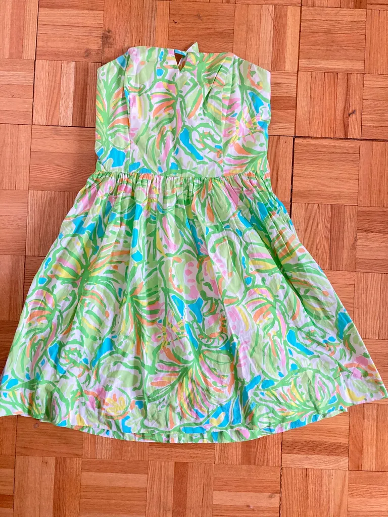 Lily Pulitzer Dress photo 1