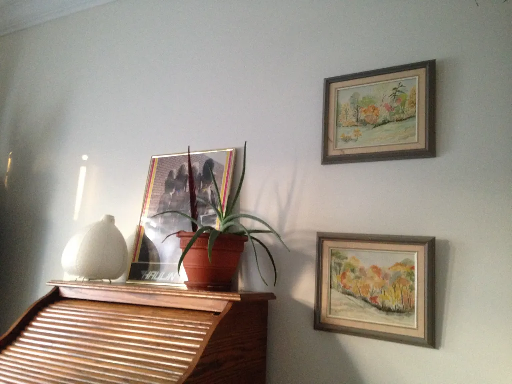 "Creamy" Paint unopened photo 1