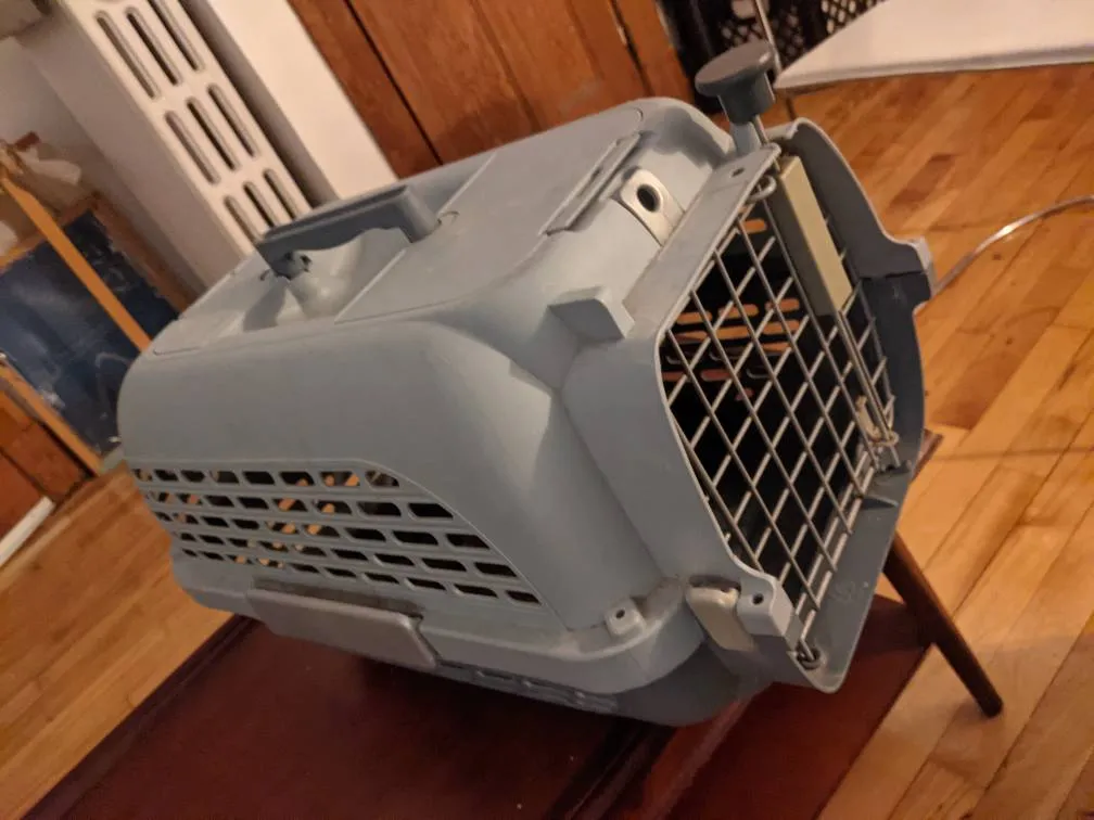 medium carrier photo 1