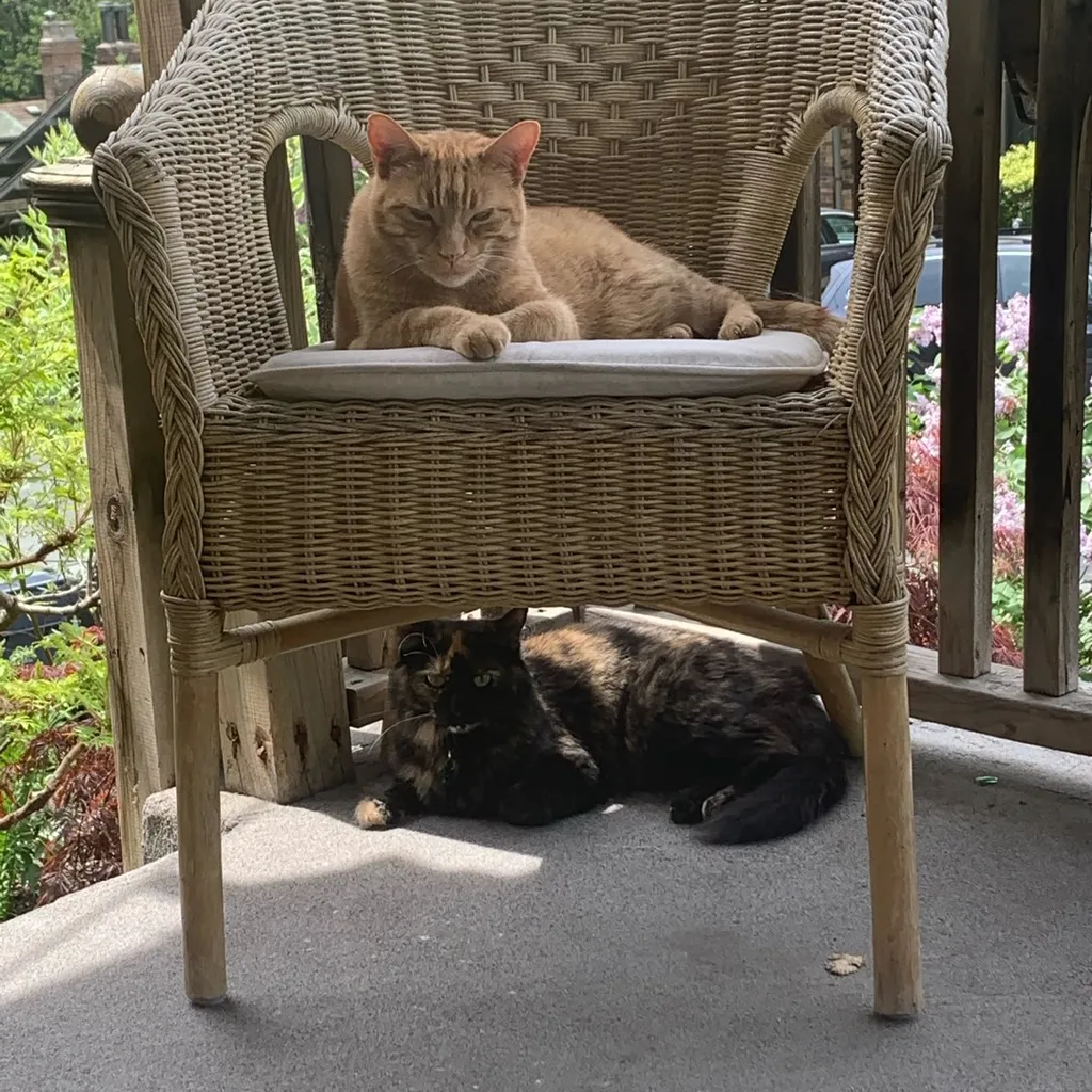 DOING ALL BUNZ TRADES SUNDAY ALL DAY photo 1