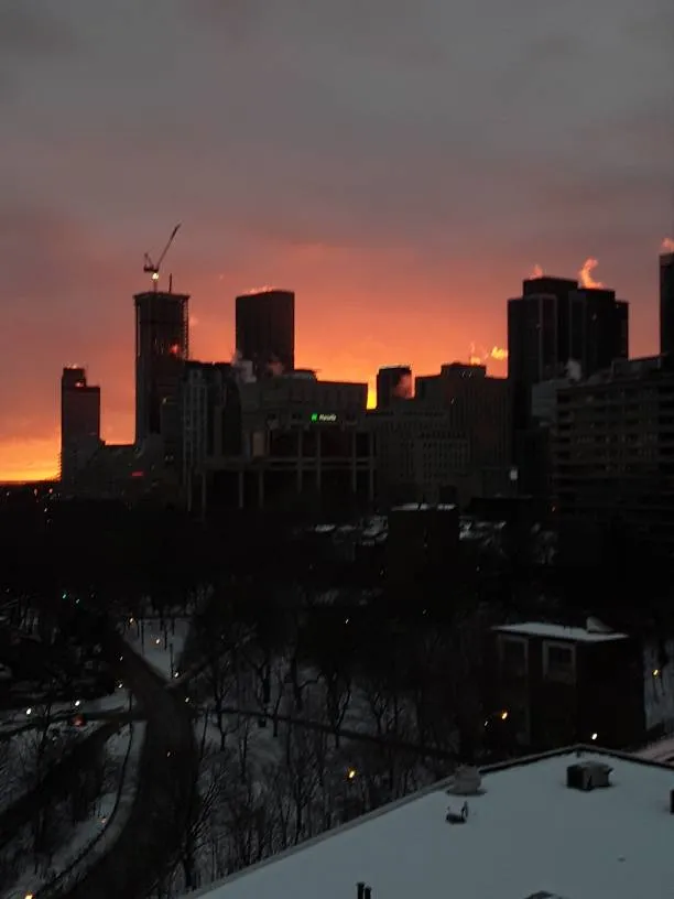 In Need Of A Cig Or Pack photo 1