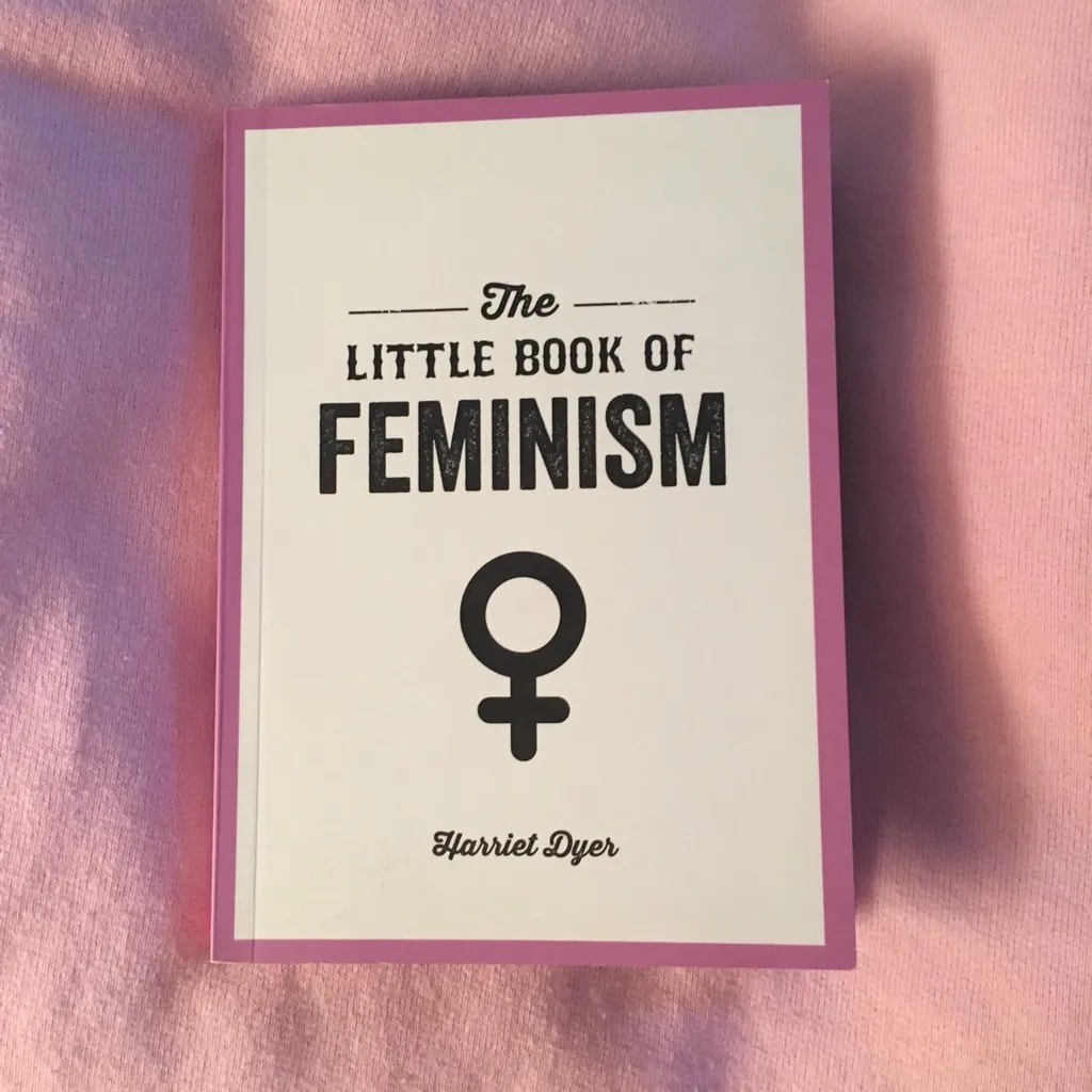 The Little Book of Feminism photo 1