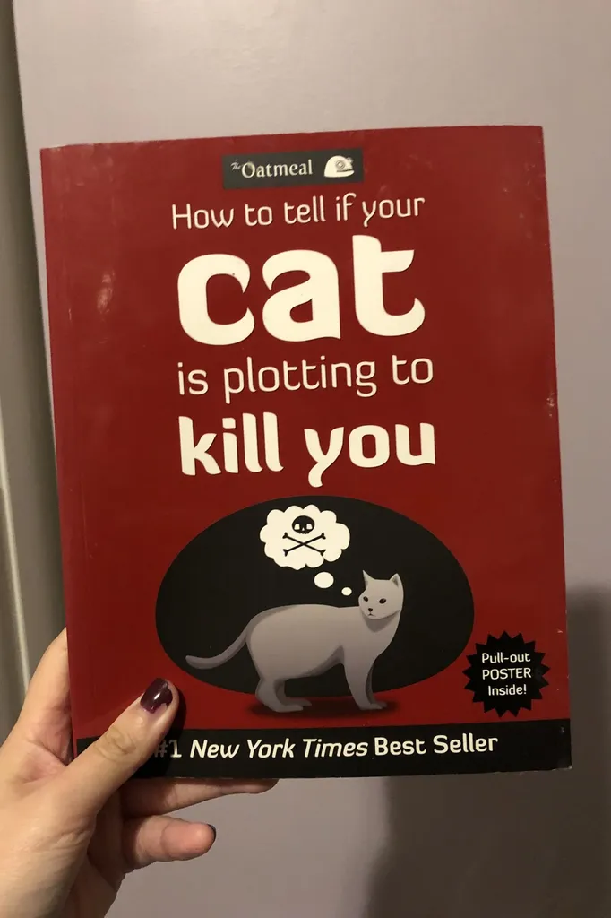 Oatmeal Cat Book photo 1