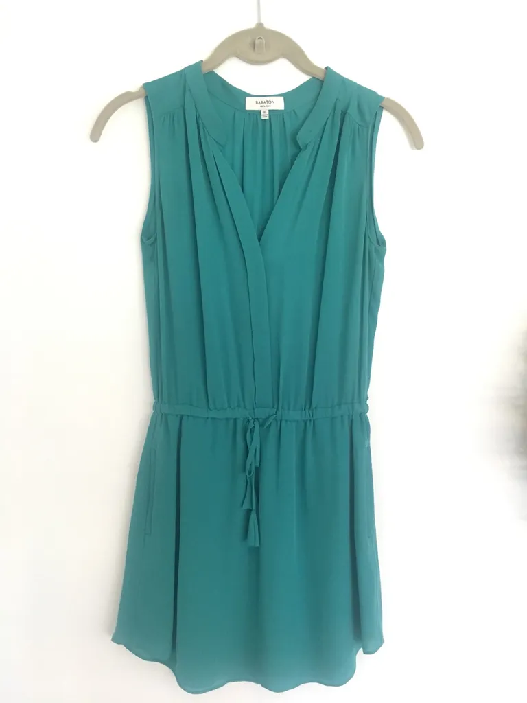 Aritzia Wilfred Babaton Silk Georgette Dress photo 1