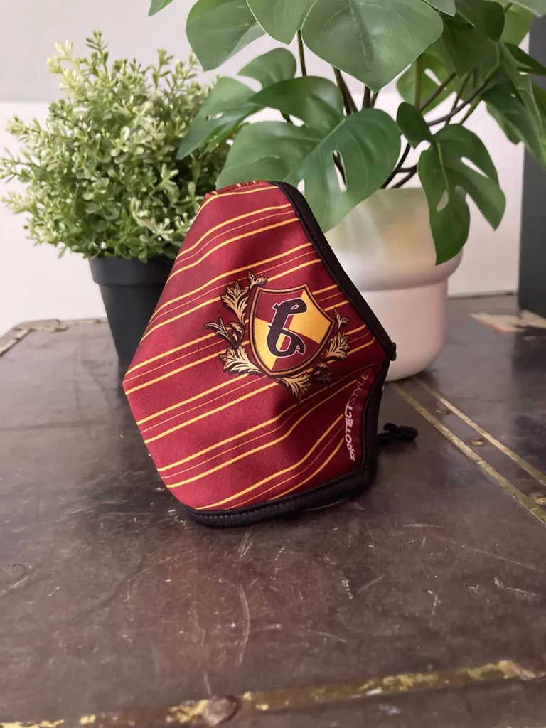 Gryffindor face mask photo 1