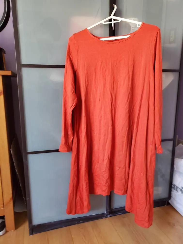 Long Sleeved Dress photo 1